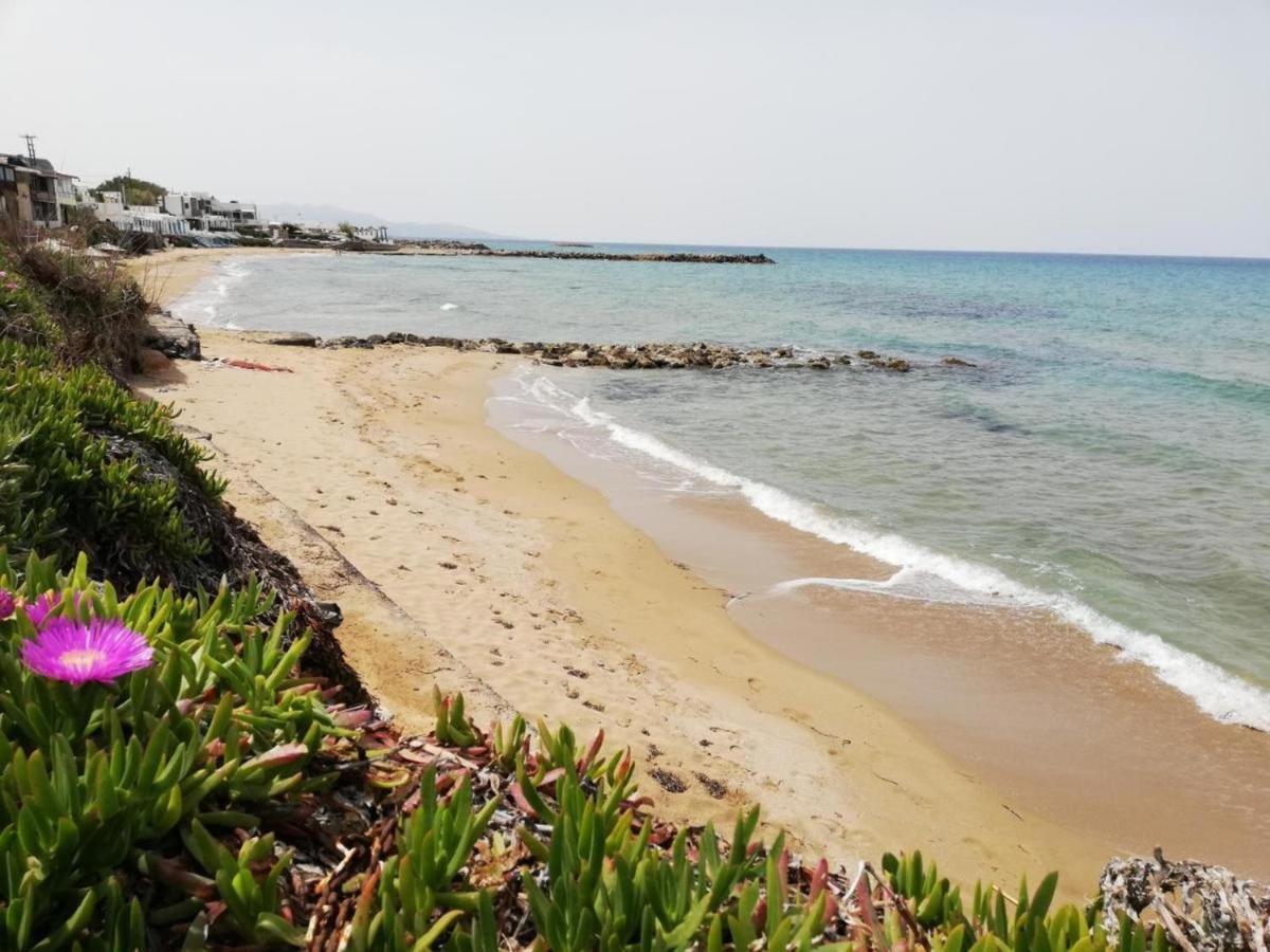 Panasia Seaview Apartments Kokkini Hani Buitenkant foto